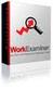 Work Examiner Professional