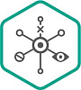 Kaspersky Endpoint Detection and Response для бизнеса Оптимальный (Cross-grade лицензии), на 1 год. Количество узлов